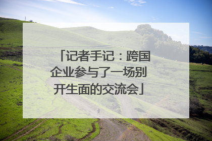 记者手记：跨国企业参与了一场别开生面的交流会