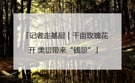 记者走基层｜千亩玫瑰花开 美景带来“钱景”