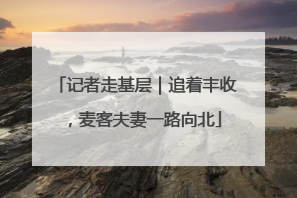 记者走基层｜追着丰收，麦客夫妻一路向北