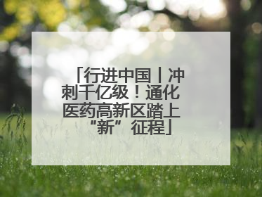 行进中国丨冲刺千亿级！通化医药高新区踏上“新”征程
