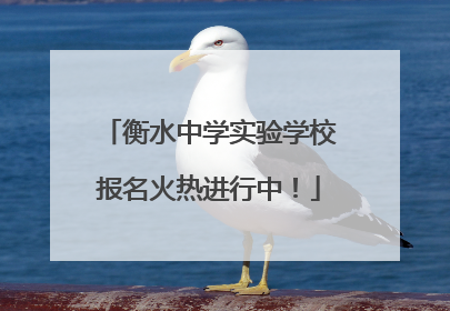 衡水中学实验学校报名火热进行中！
