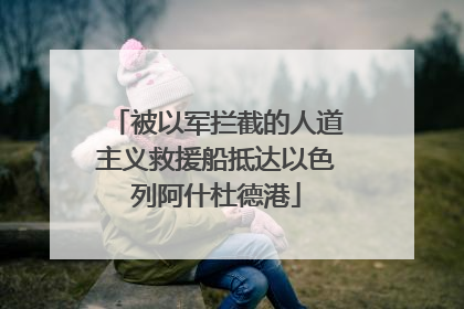 被以军拦截的人道主义救援船抵达以色列阿什杜德港