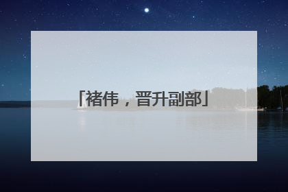 褚伟，晋升副部