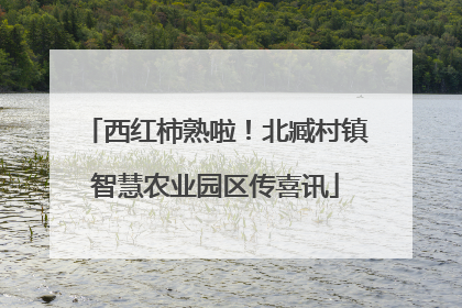 西红柿熟啦！北臧村镇智慧农业园区传喜讯