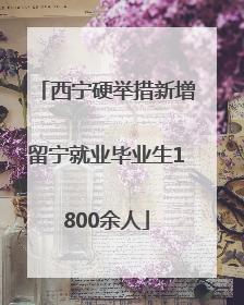 西宁硬举措新增留宁就业毕业生1800余人