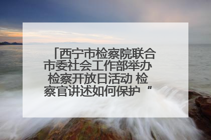 西宁市检察院联合市委社会工作部举办检察开放日活动 检察官讲述如何保护“少年的你”