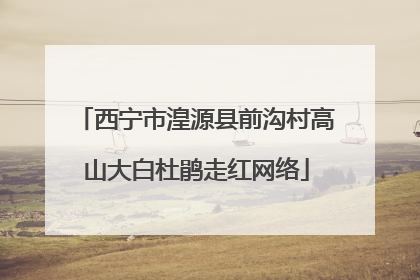 西宁市湟源县前沟村高山大白杜鹃走红网络