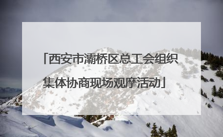 西安市灞桥区总工会组织集体协商现场观摩活动