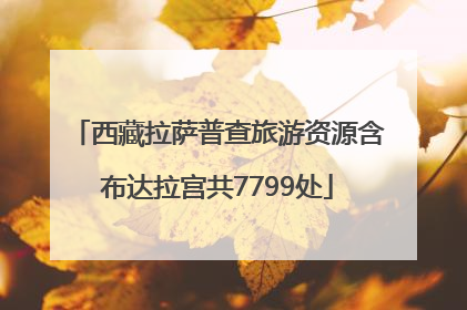 西藏拉萨普查旅游资源含布达拉宫共7799处