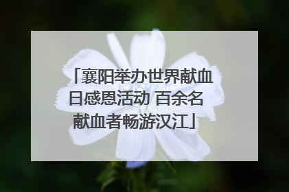襄阳举办世界献血日感恩活动 百余名献血者畅游汉江