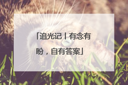 追光记丨有念有盼，自有答案