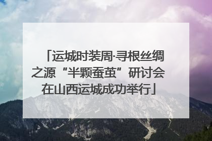 运城时装周·寻根丝绸之源“半颗蚕茧”研讨会在山西运城成功举行