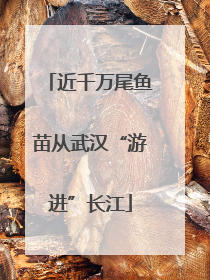 近千万尾鱼苗从武汉“游进”长江
