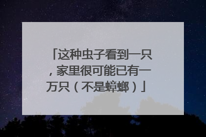 这种虫子看到一只，家里很可能已有一万只（不是蟑螂）