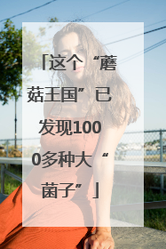 这个“蘑菇王国”已发现1000多种大“菌子”