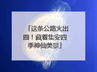 这条公路火出圈！藏着集安四季神仙美景
