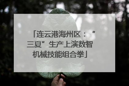 连云港海州区：“三夏”生产上演数智机械技能组合拳