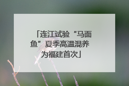 连江试验“马面鱼”夏季高温混养 为福建首次