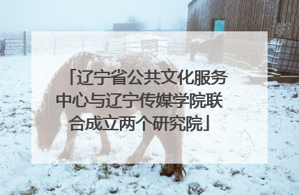 辽宁省公共文化服务中心与辽宁传媒学院联合成立两个研究院