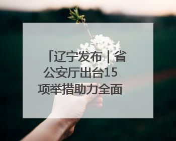 辽宁发布｜省公安厅出台15项举措助力全面振兴新突破三年行动决胜之战