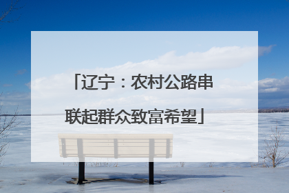 辽宁：农村公路串联起群众致富希望