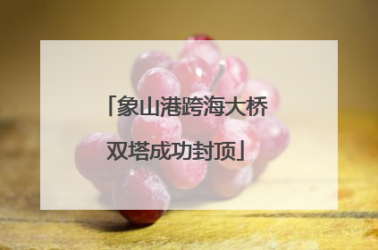 象山港跨海大桥双塔成功封顶