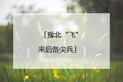 豫北“飞”来后备尖兵