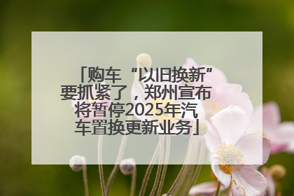 购车“以旧换新”要抓紧了，郑州宣布将暂停2025年汽车置换更新业务