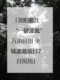 资阳雁江：“一键灌溉”万亩良田 全域灌溉项目7月投用