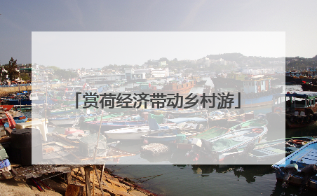 赏荷经济带动乡村游