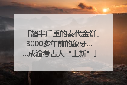 超半斤重的秦代金饼、3000多年前的象牙……成渝考古人“上新”
