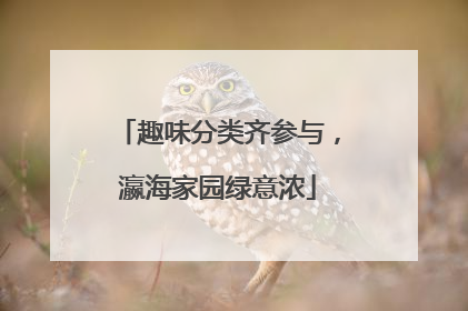 趣味分类齐参与，瀛海家园绿意浓