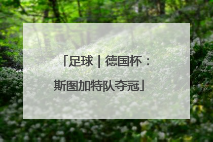 足球｜德国杯：斯图加特队夺冠