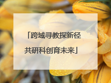 跨域寻教探新径 共研科创育未来