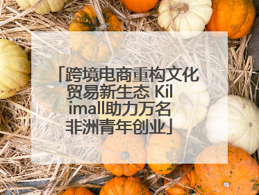 跨境电商重构文化贸易新生态 Kilimall助力万名非洲青年创业