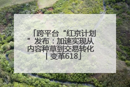跨平台“红京计划”发布：加速实现从内容种草到交易转化丨变革618