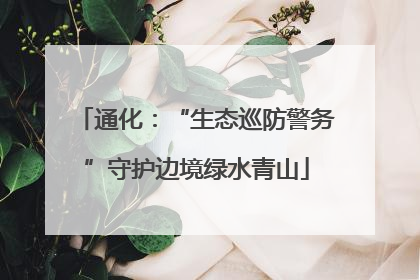 通化：“生态巡防警务”守护边境绿水青山