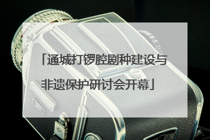 通城打锣腔剧种建设与非遗保护研讨会开幕