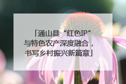 通山县“红色IP”与特色农产深度融合，书写乡村振兴新篇章