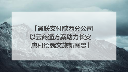 通联支付陕西分公司以云商通方案助力长安唐村绘就文旅新图景