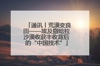 通讯丨荒漠变良田——埃及撒哈拉沙漠收获丰收背后的“中国技术”