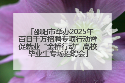 邵阳市举办2025年百日千万招聘专项行动暨促就业“金桥行动”高校毕业生专场招聘会
