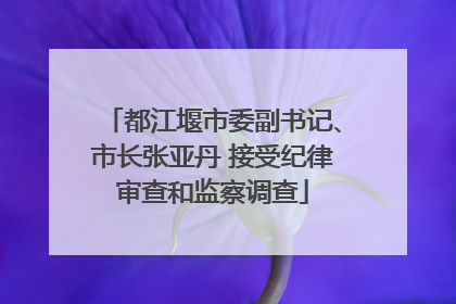 都江堰市委副书记、市长张亚丹 接受纪律审查和监察调查