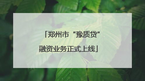 郑州市“豫质贷”融资业务正式上线