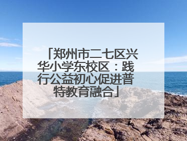 郑州市二七区兴华小学东校区：践行公益初心促进普特教育融合