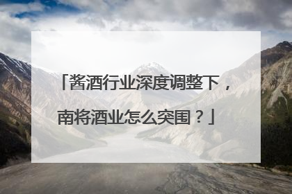 酱酒行业深度调整下，南将酒业怎么突围？
