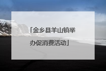 金乡县羊山镇举办促消费活动