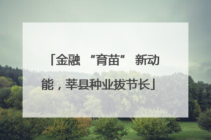 金融 “育苗” 新动能，莘县种业拔节长