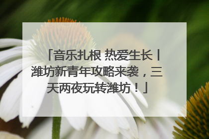音乐扎根 热爱生长丨潍坊新青年攻略来袭，三天两夜玩转潍坊！