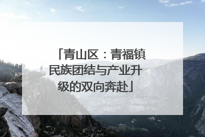 青山区：青福镇民族团结与产业升级的双向奔赴
